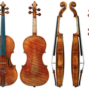 The Guarneri Plowden 1735