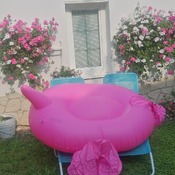 Zuzana and Radana with inflatables in the garden