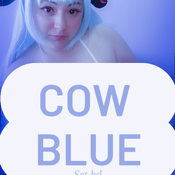 Cow blue hd