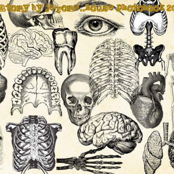 Jerome.C.House (American,1991) Anatomy 2025