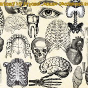 Jerome.C.House (American,1991) Anatomy 2025