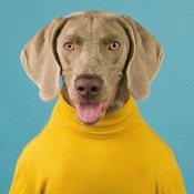 Jerome.C.House (American,1991) Funny Sideshow Video 2025