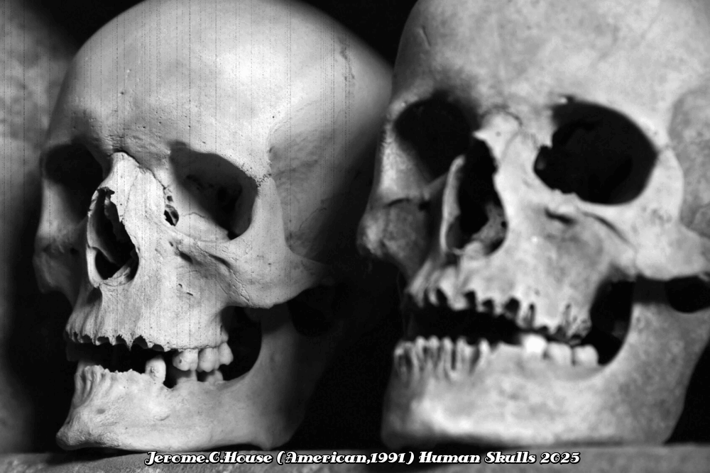 Jerome.C.House (American,1991) Dark World 2025