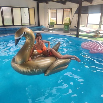 Monica top photocollection with gold flamingo