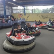 Jerome.C.House (American,1991) Forest Road 2025