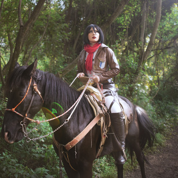 Mikasa Ackerman - 18 Fotos HD