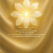 Premium Lingerie — “Velvet Heat”