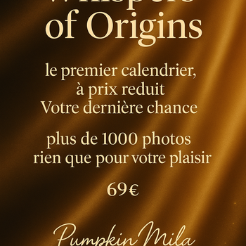 Pumpkin Calendar  - Whispers of Origin