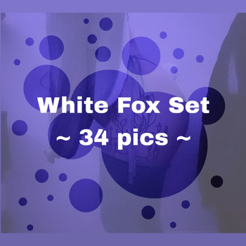 OC | White Fox Picture Set