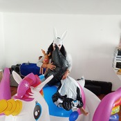 Ary ride big 72 inches and blow inflatable whale!!!