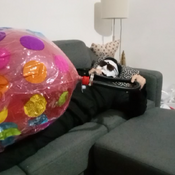 Blow to pop 24 inches balloon insite a big beachball!!!