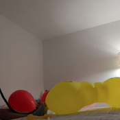 Blow to pop caterpillar cattex balloon!!!