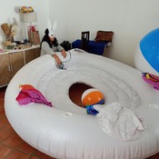 Blowing up a big big big inflatable by ARy!!!