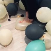 Claires Mad Stomp Session