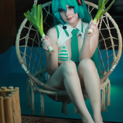 Hatsune Miku Bikini Photo Set  - 17 Pictures