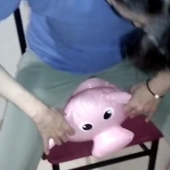 Inflating and deflating inflatable animals