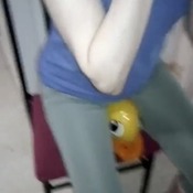 Inflating and deflating inflatable animals