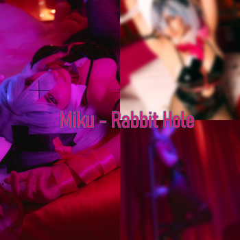 Miku-rabbit hole 12-photos