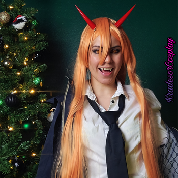 POWER DESTROYS CHRISTMAS: 47 Evidence Photos