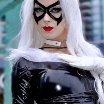 11 Professional taken Blackcat photos