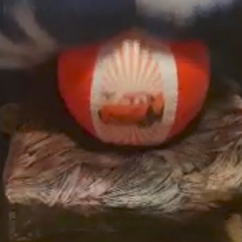 2 Little beach ball sit pop