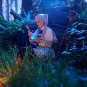 Digital Collections of older prints II