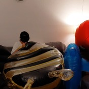 Inflatable bee blow