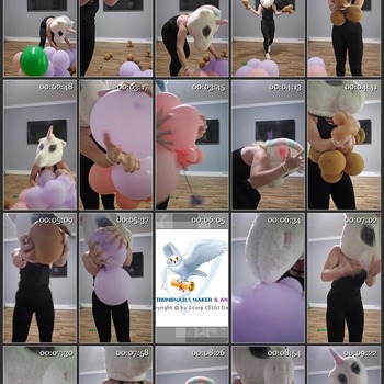 luftballoons werden kaputt gemacht