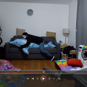 Overinflate dolphin with pump