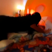 Ride and deflated inflables by Julie 2026!!!