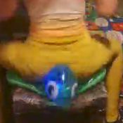 Sit to pop 2 inflatables turtle