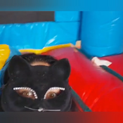 Ary and Jp play in the big inflatable castle!!!
