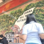 Colegialas Videos Eliminados 2026 - Schoolgirls Deleted Videos #25